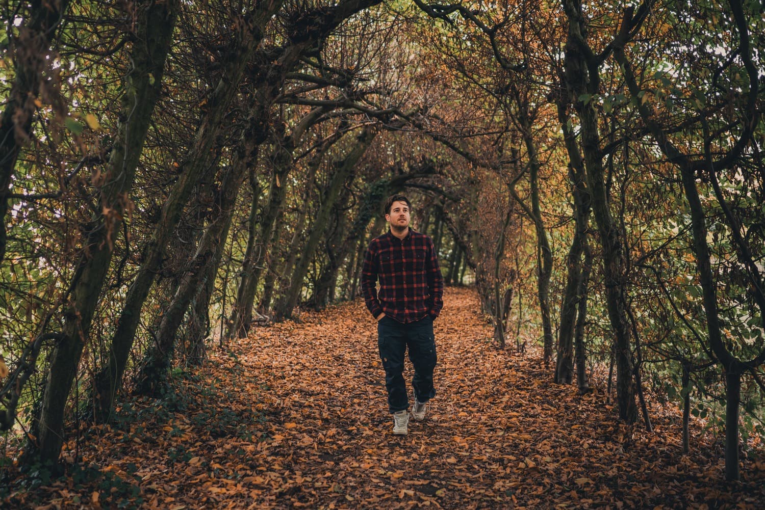 mooiste wandelingen vlaanderen