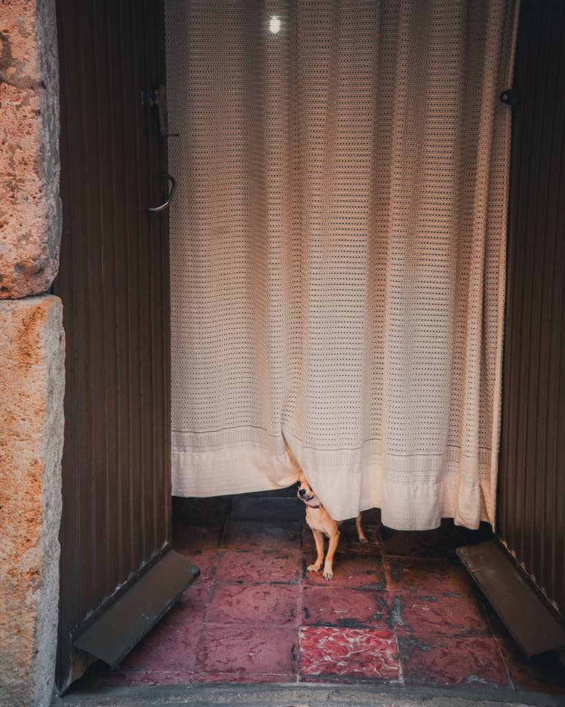 roadtrip spanje
