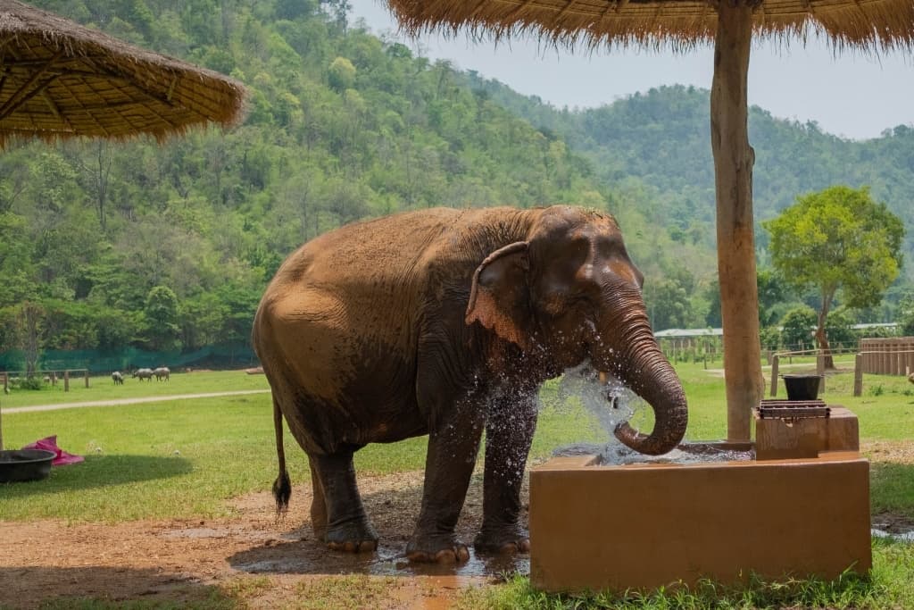 een wereldreis plannen