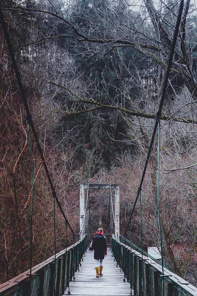 transylvanie roemenie wandelen winter