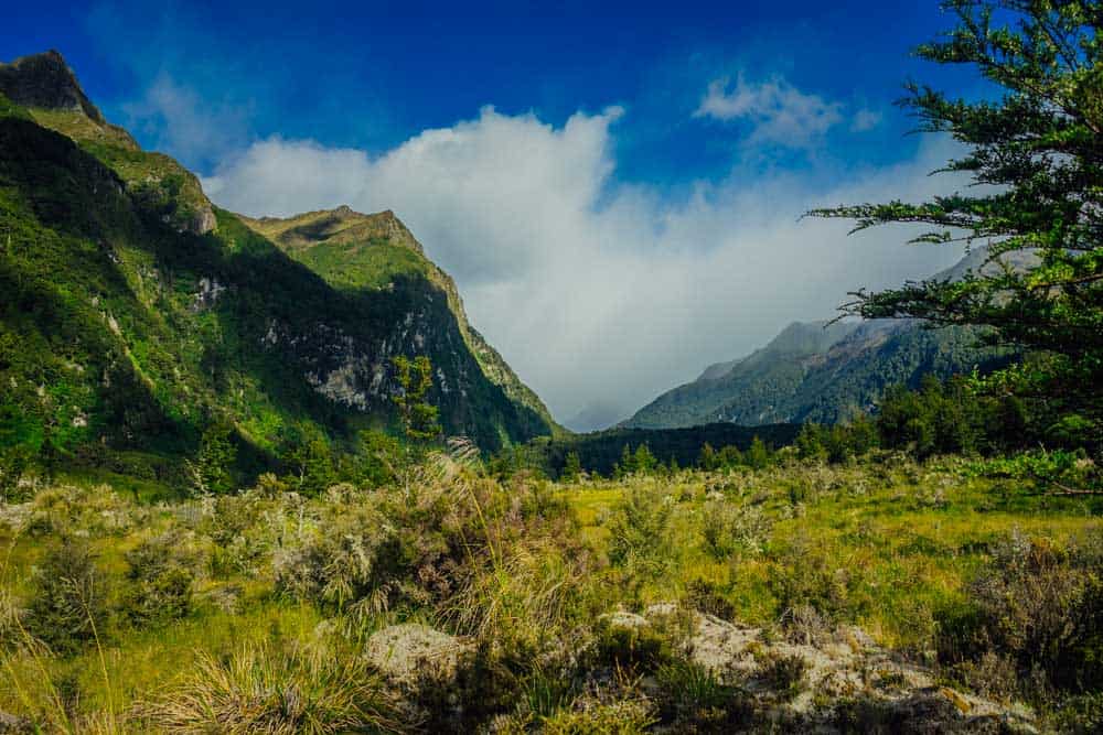 kepler track nieuw zeeland