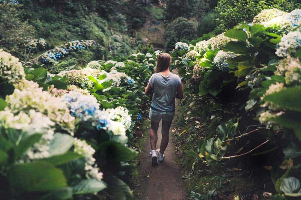 reisgids sao miguel pico azoren