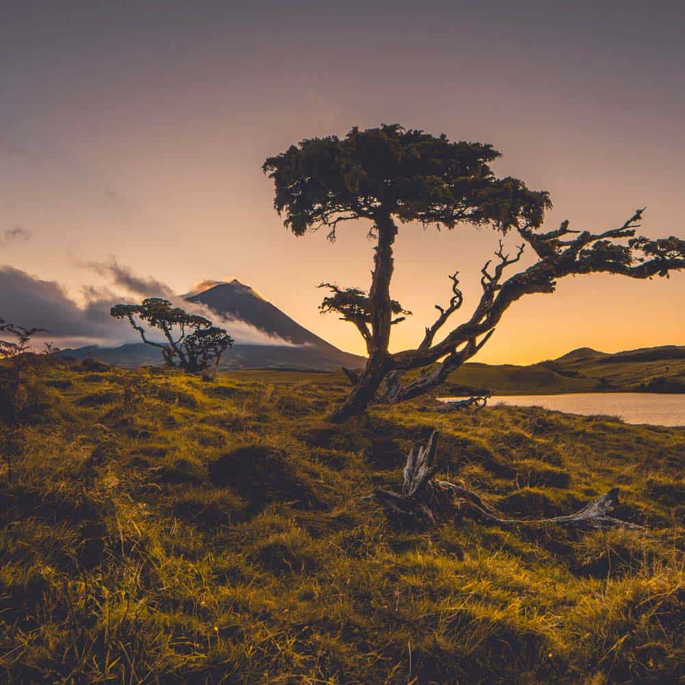 azoren welke eilanden