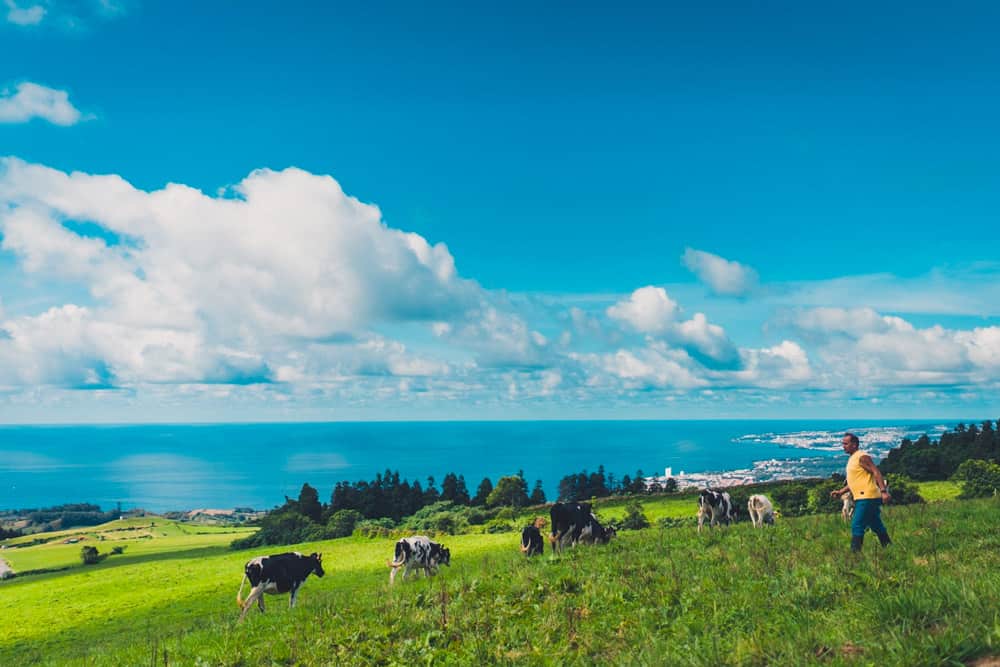 azoren beste tips en things to do