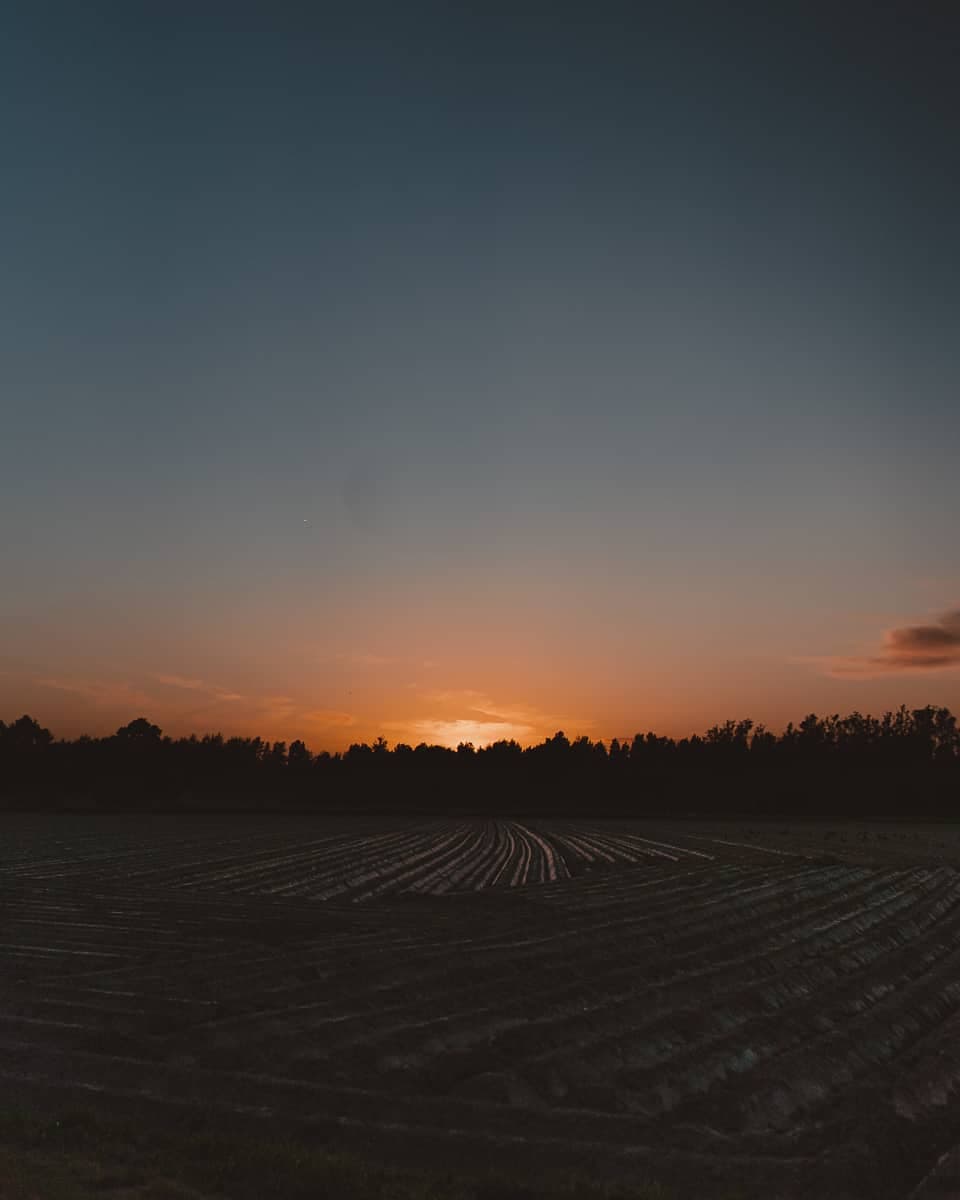 wandelen in leuven zonsondergang