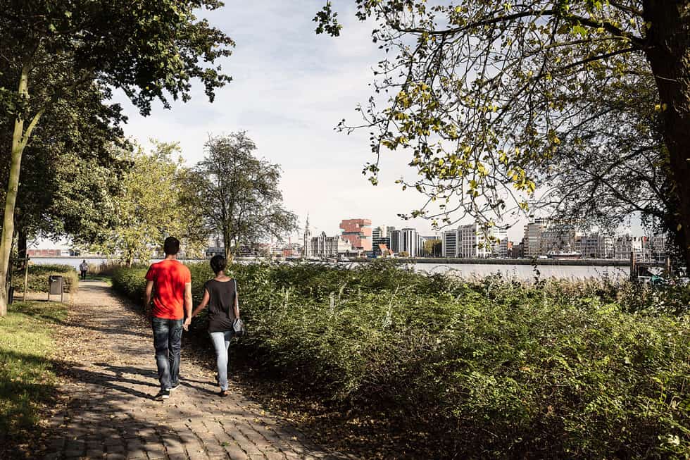 wandelen langs de schelde antwerpen