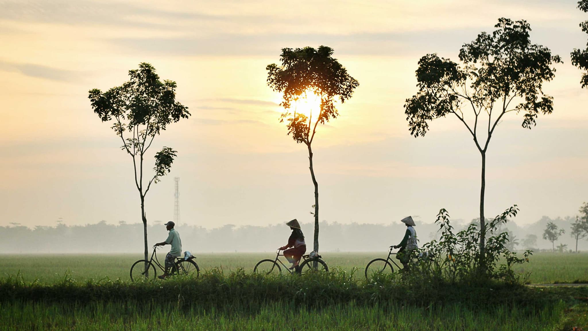 zuid-oost azie en indonesie