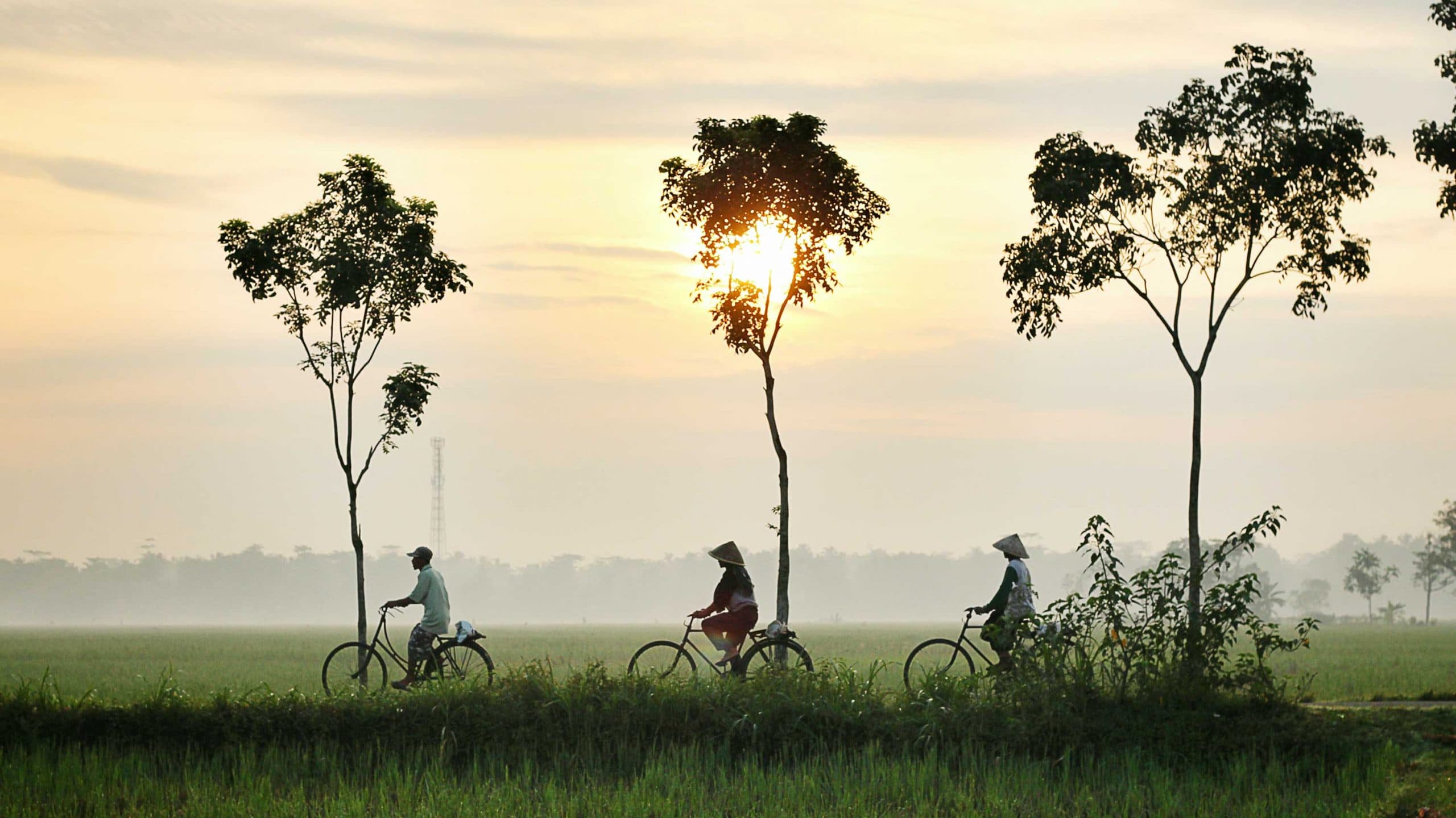 Indonesië