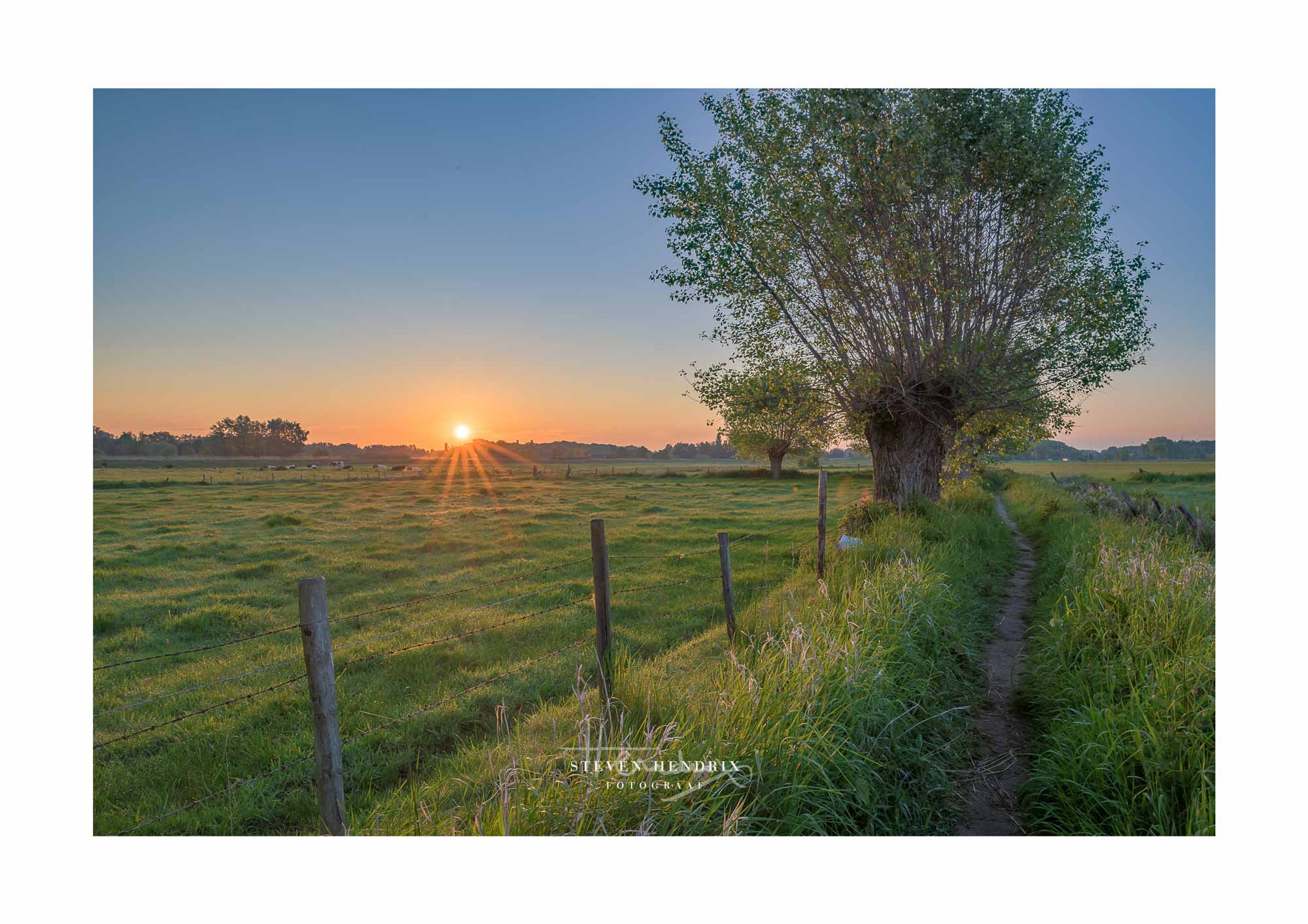 scheldeland wandelen