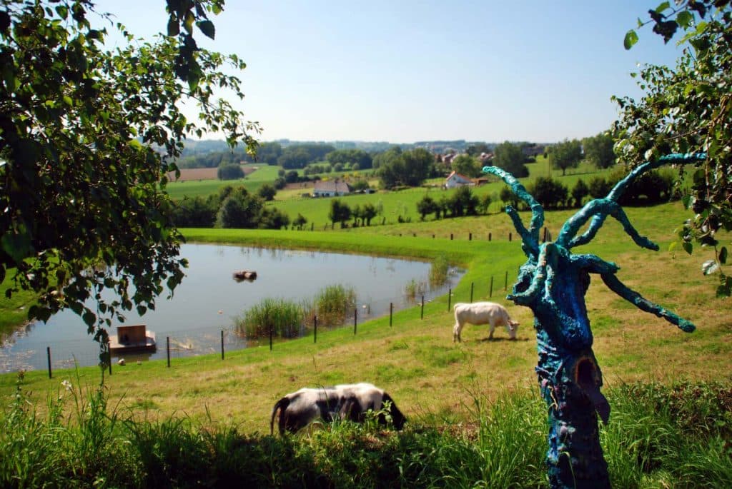 wandelen in ellezelles