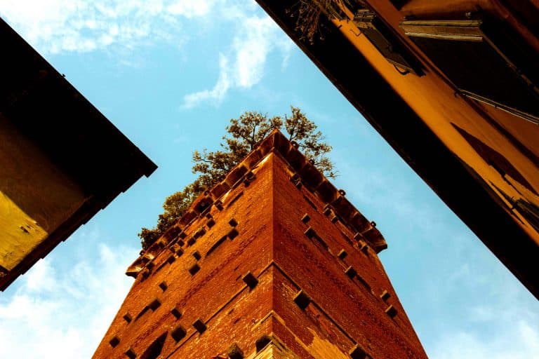 toren met steeneiken Lucca Toscane