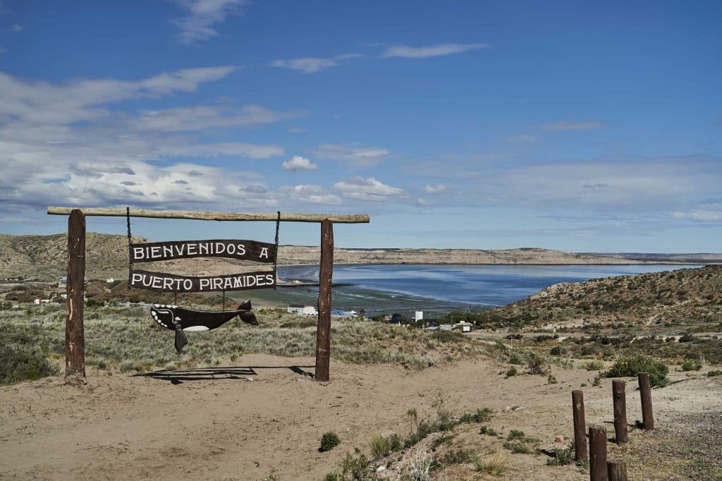 Orca's en dolfijnen spotten in Patagonië