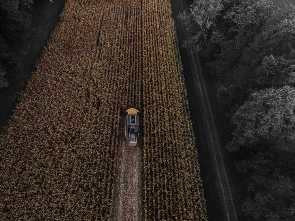 wijndomein in Elzas bezoeken