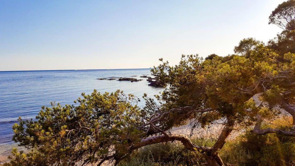 corsica de mooiste baaitjes bezoeken