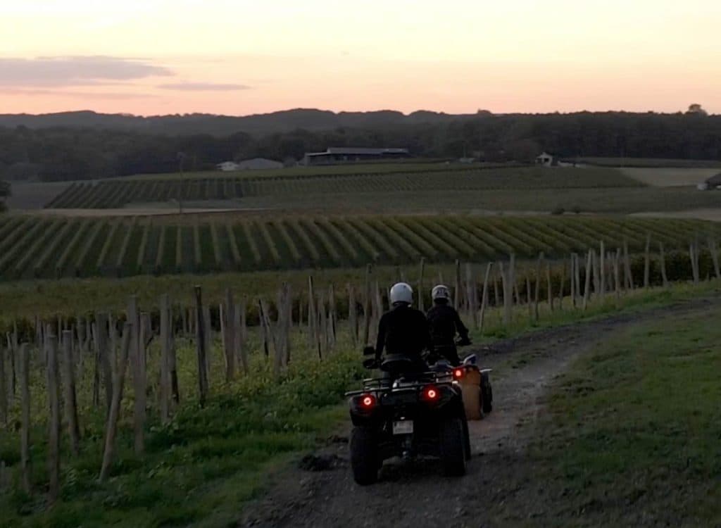 wijngaard met de jeep