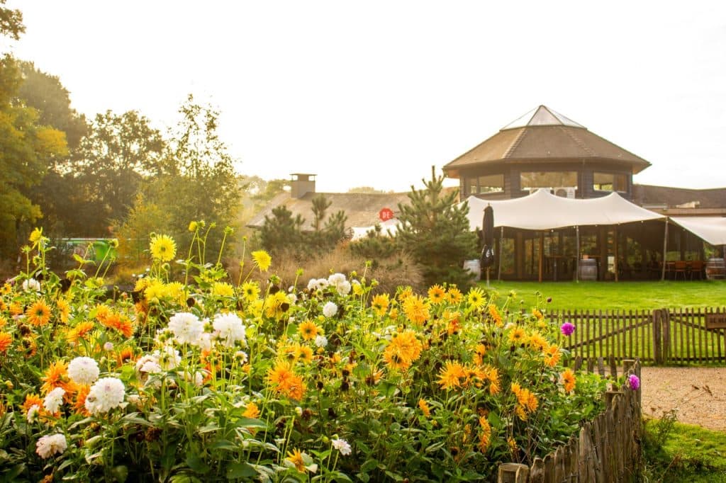 Een tuin met gele en witte bloemen ligt voor een rond gebouw met grote ramen en een tentgedeelte in Den Bosch. Groen gras, bomen en een houten schutting maken het plaatje compleet, terwijl het zonlicht de warme, uitnodigende sfeer van Uitboeren creëert.