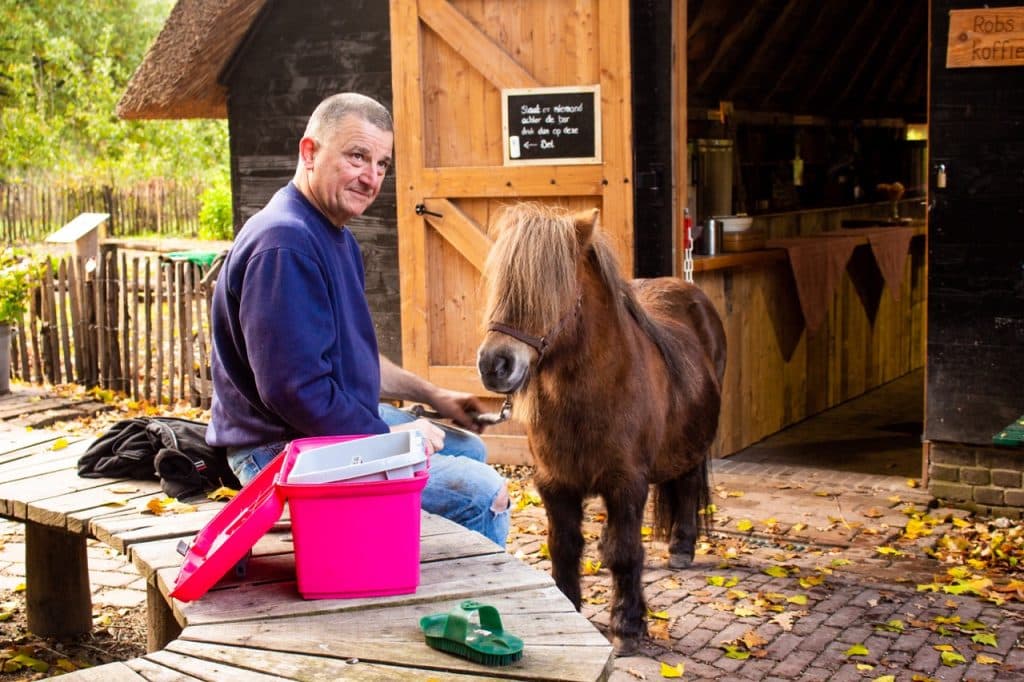 Een man in een blauwe trui zit op een houten bank buiten een stal bij Den Bosch en lacht naar de camera terwijl hij een kleine bruine pony borstelt. Een knalroze verzorgingsbox en groene borstel staan in de buurt, met herfstbladeren in het rond - typisch Uitboeren-charme.