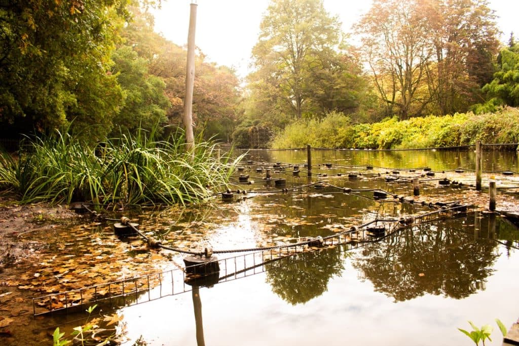 waanpad land van kien