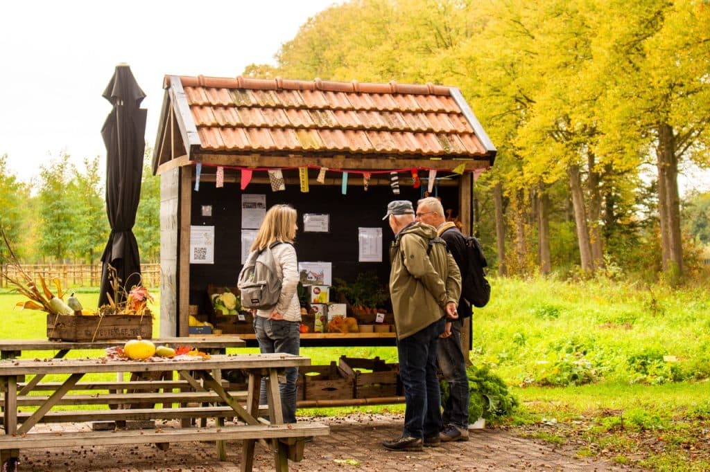 Drie mensen staan bij een houten buitenkraam in de buurt van Den Bosch en bekijken producten en notities. Verse groenten en kalebassen uit Uitboeren staan uitgestald op kratten en een picknicktafel, omringd door groen gras en herfstbomen.