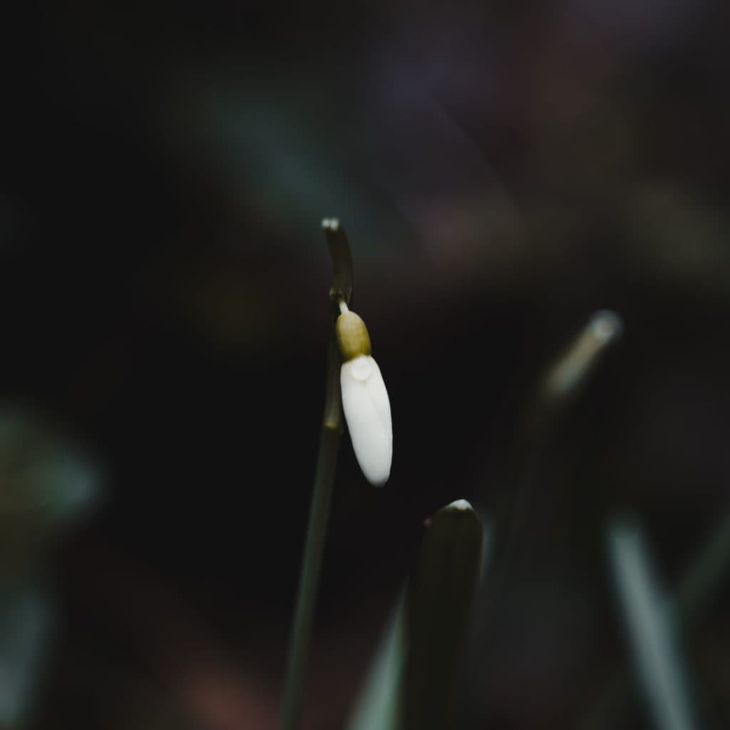 wat doen op vakantie in slovenie