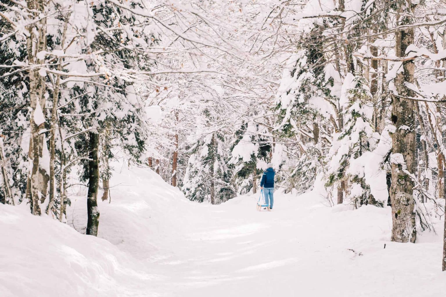 wat doen in slovenie