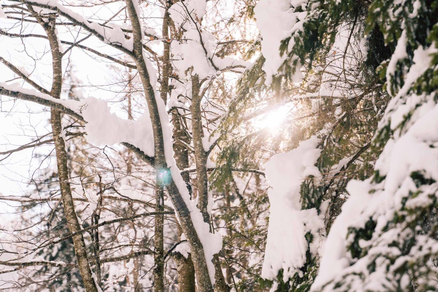 vakantie in slovenie