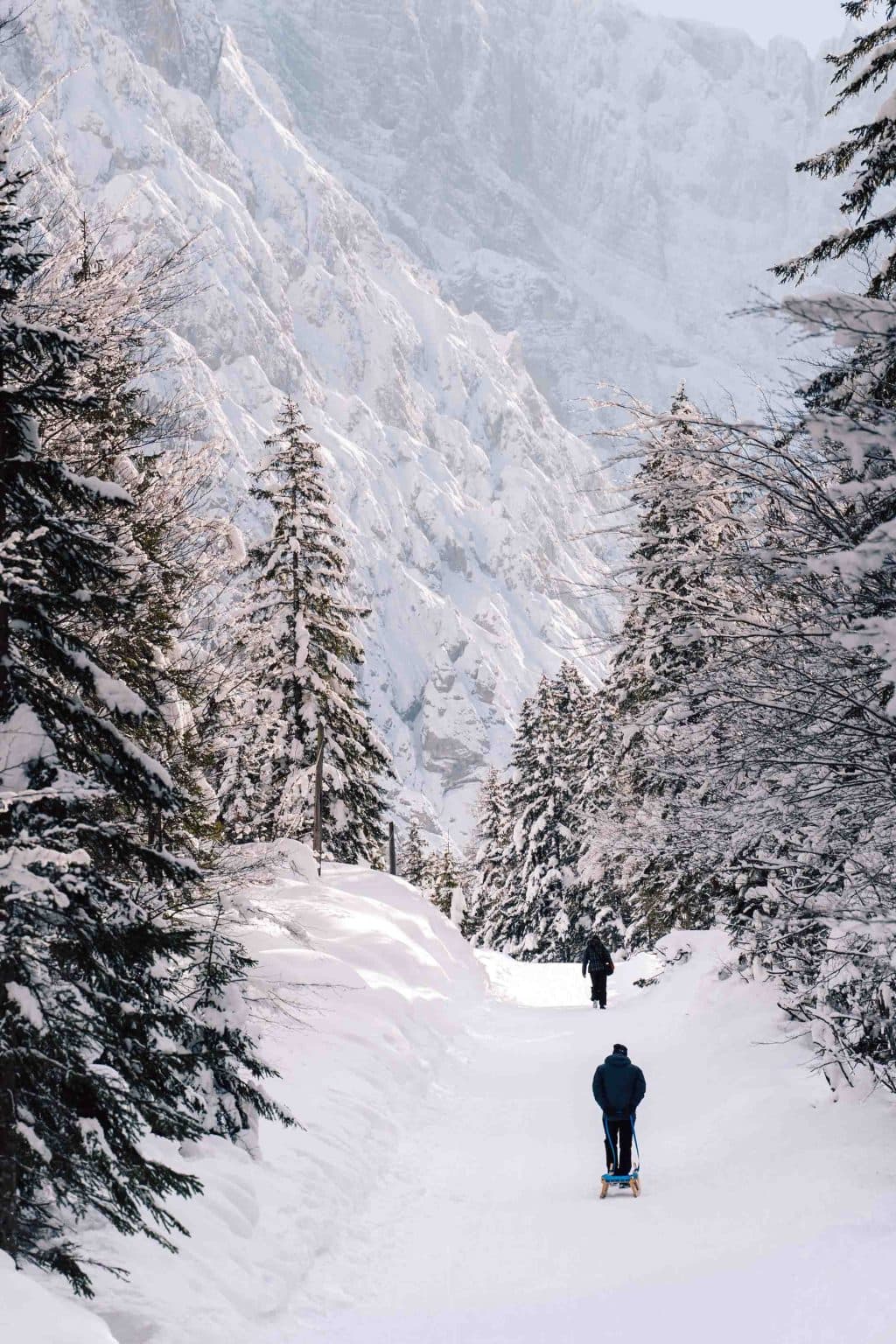 slovenie in de winter