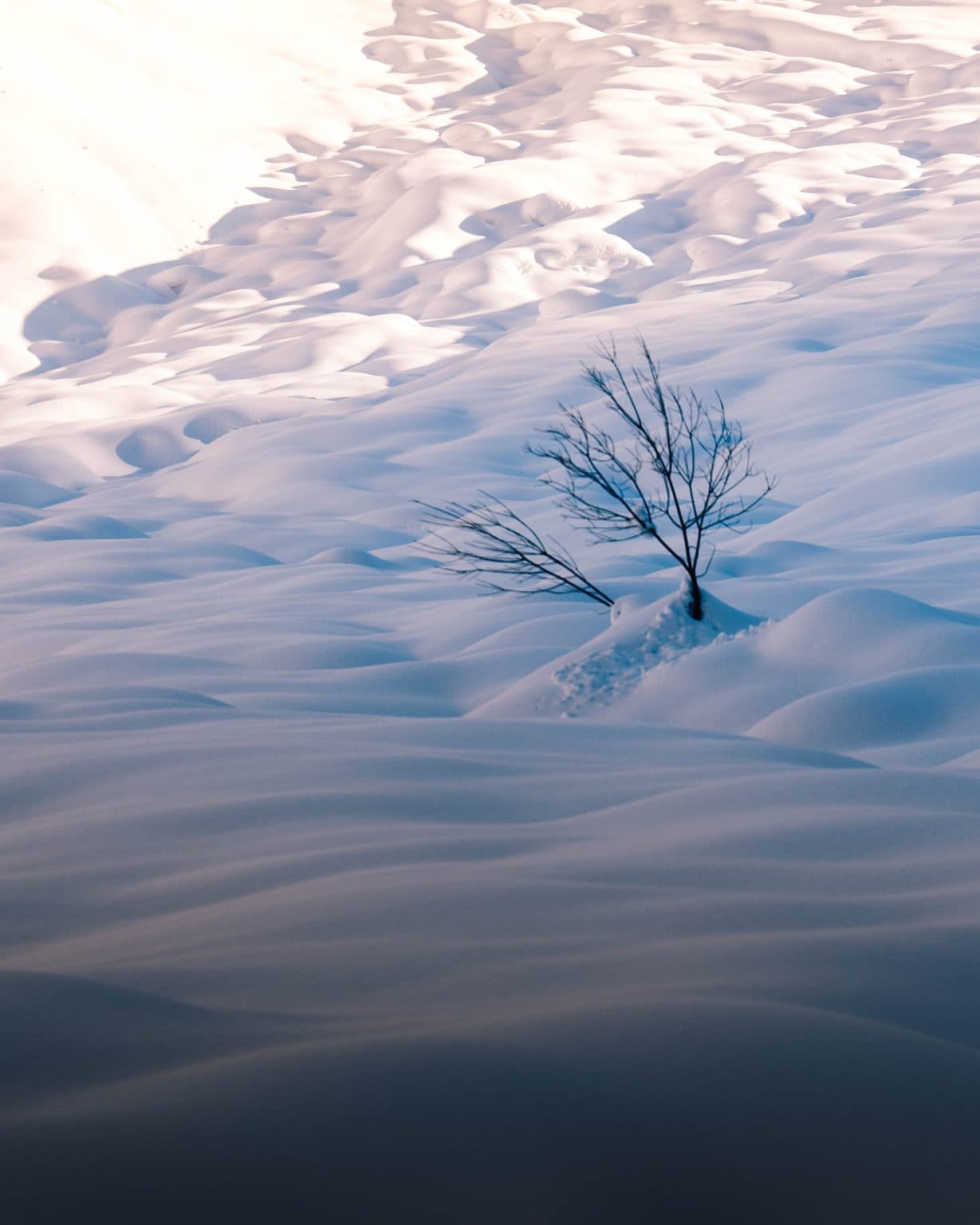 sneeuwandeling met slee