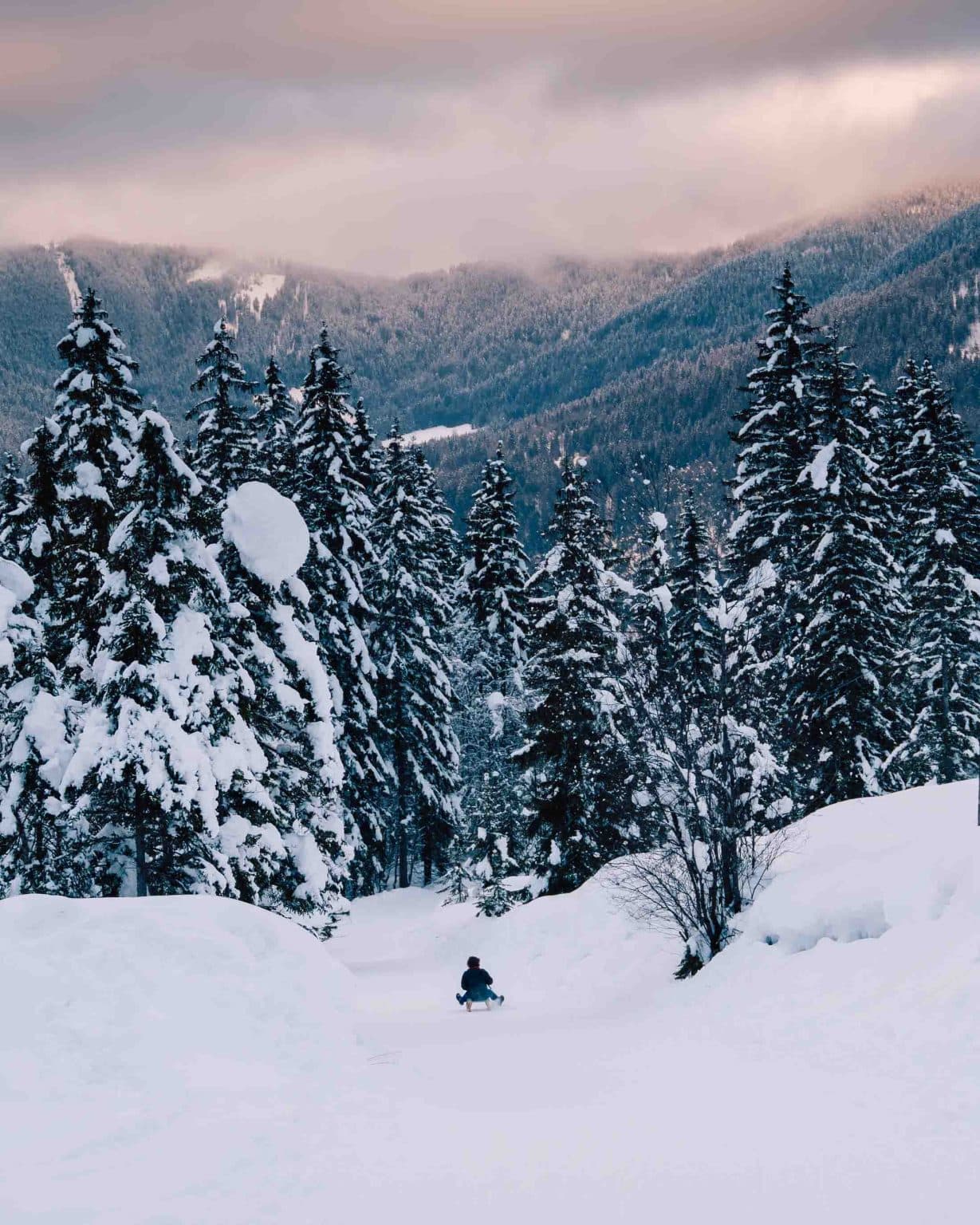 slovenie in de winter