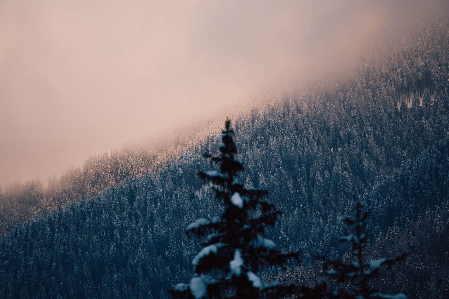 slovenie in de winter