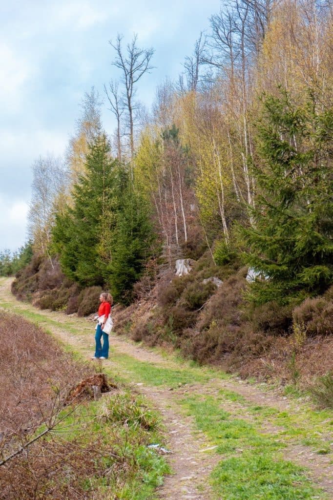 wandeling in la roche in de Vlaamse Ardennen