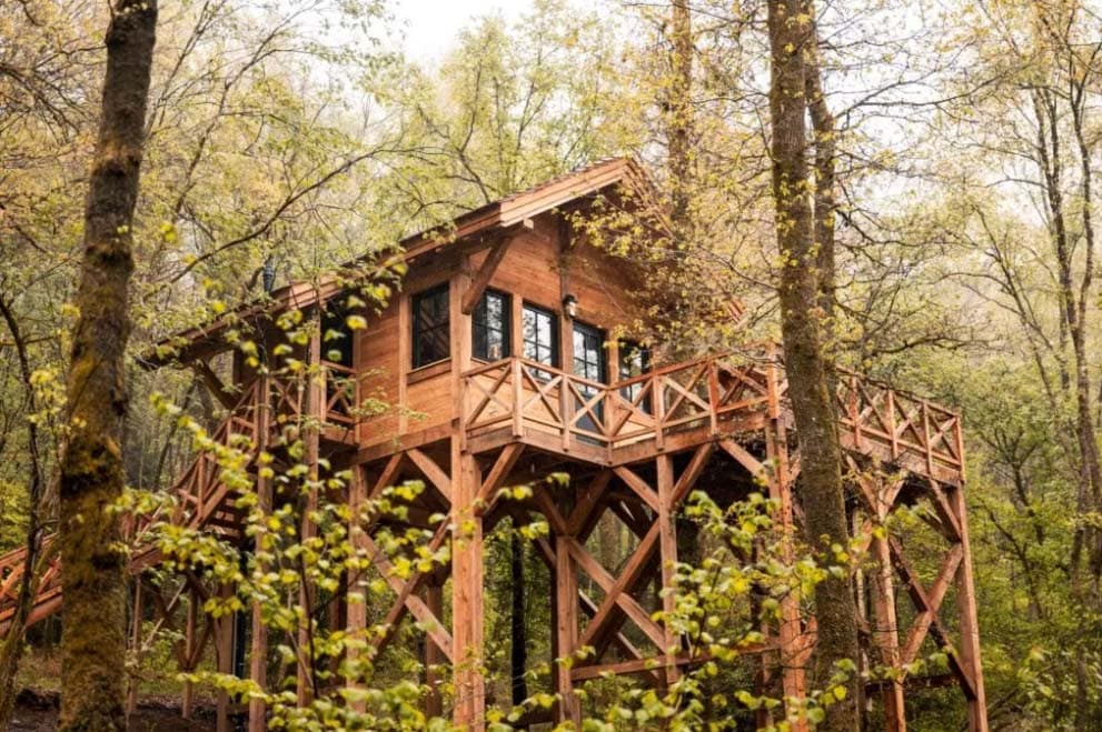 Een houten boomhut met een groot dek ligt hoog tussen hoge bomen in een weelderig, groen bos. Zonlicht filtert door de bladeren en creëert het perfecte glampingverblijf voor liefhebbers van de natuur en tiny house living.