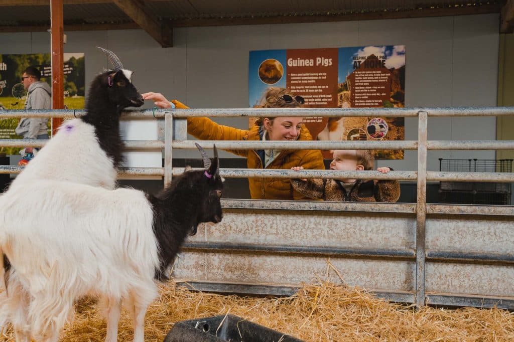 De Cotswolds Fram Shop