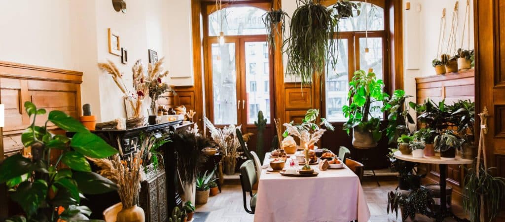 Brunch restaurant Hasselt