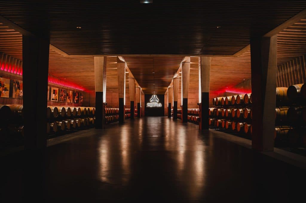 ribera del duero wijnvakantie