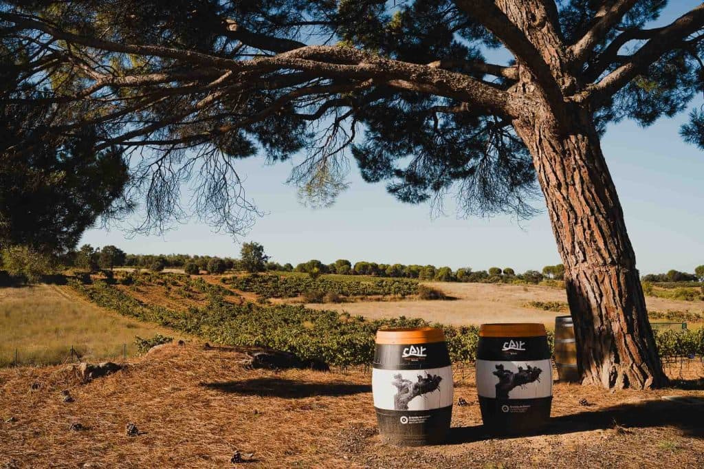 ribera del duero wijnvakantie