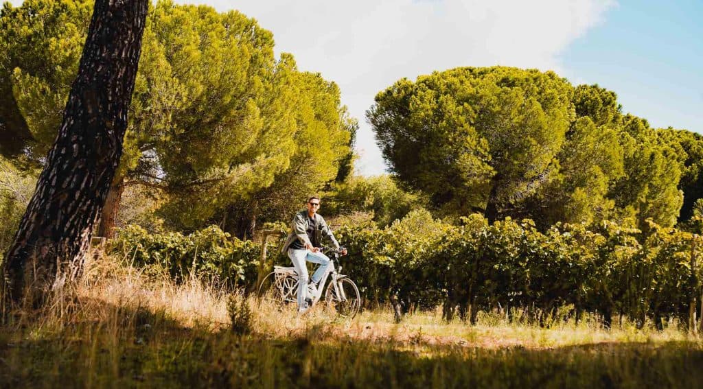 ribera del duero wijnvakantie