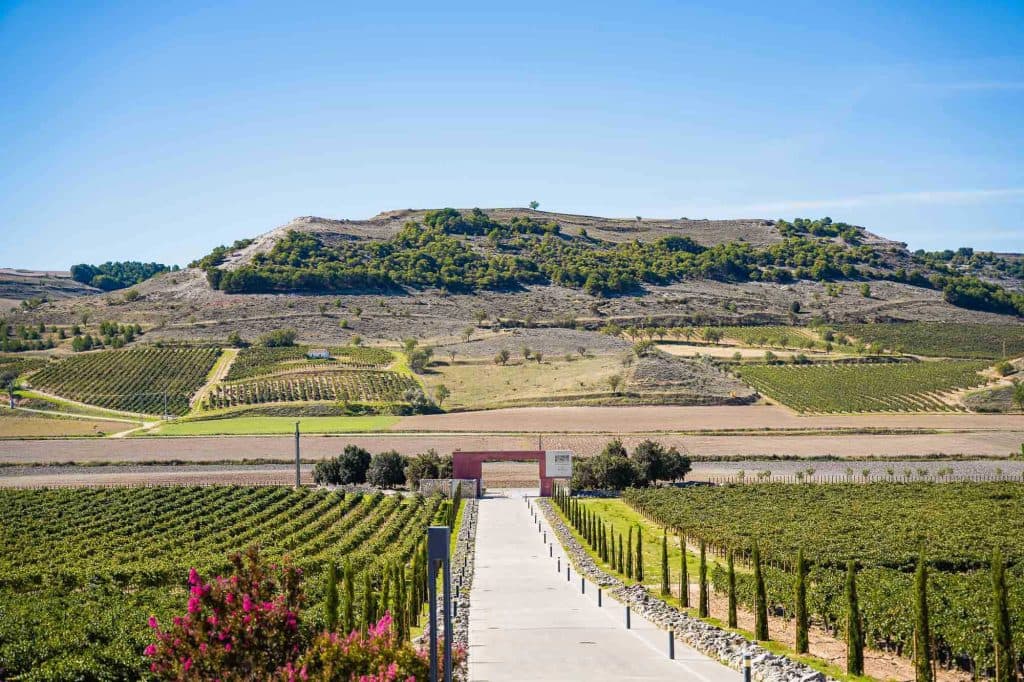 wijjn domeinen bezoeken in spanje