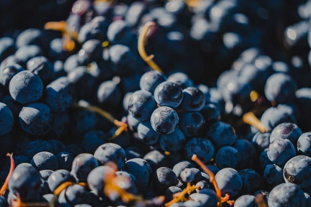 ribera del duero wijndomein bezoeken