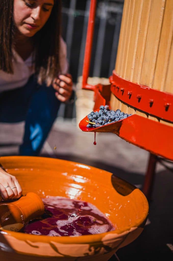 wijn vakantie in spanje