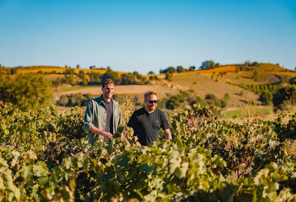 ribera del duero wijnvakantie