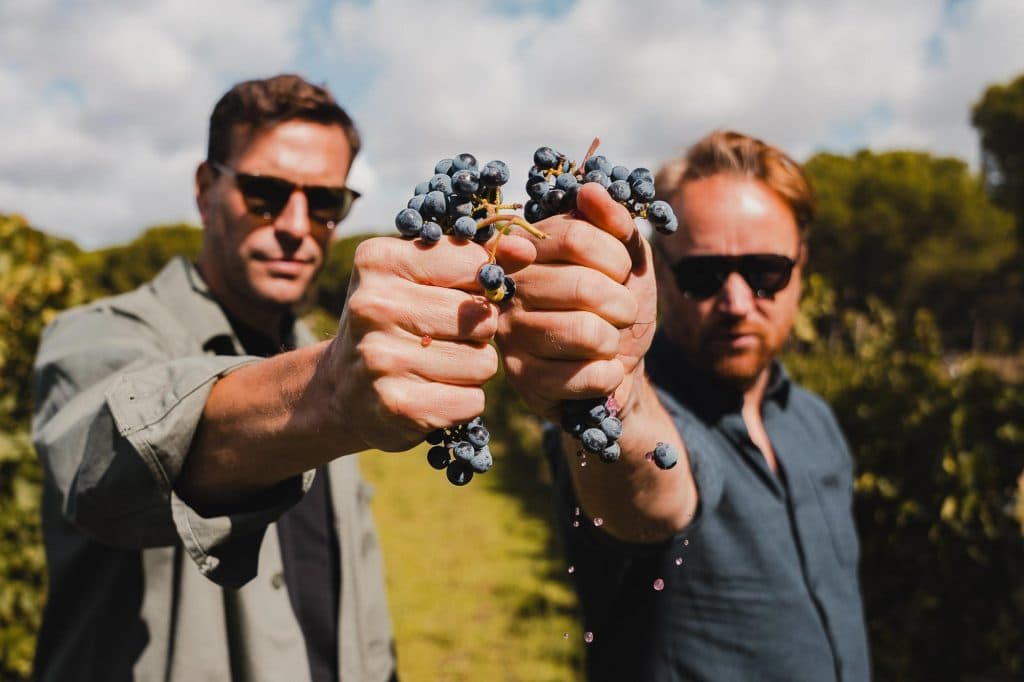 wijn persen ribera del duero wijnvakantie