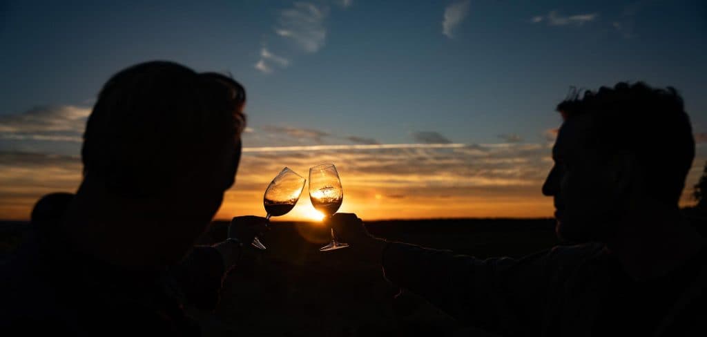 de beste wijn van spanje