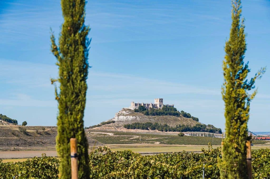 ribera del duero wijnvakantie