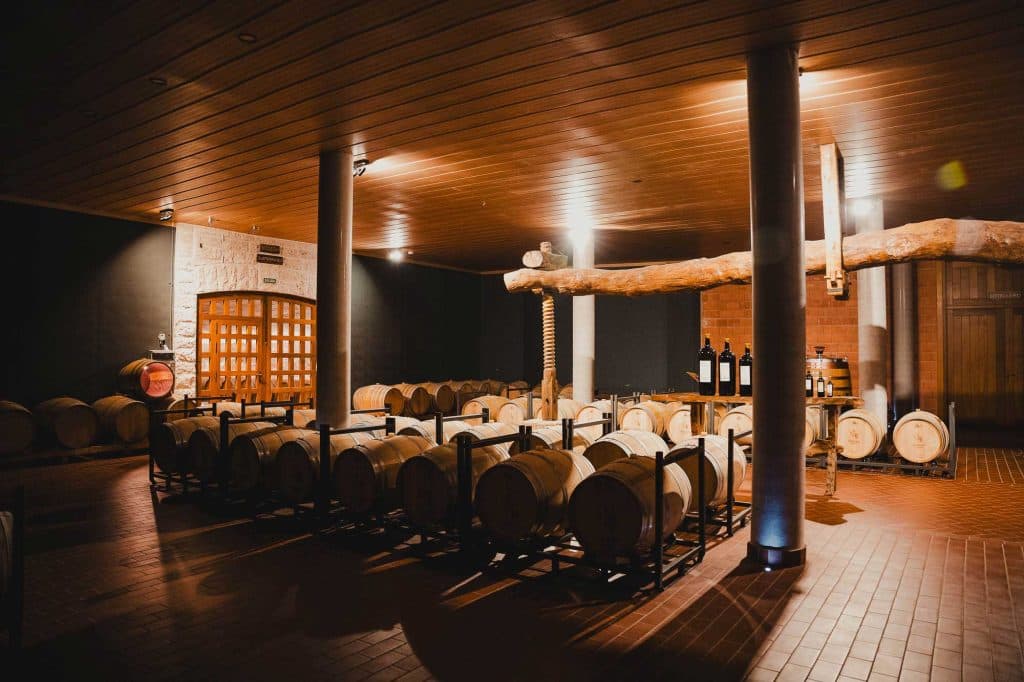 ribera del duero wijnvakantie