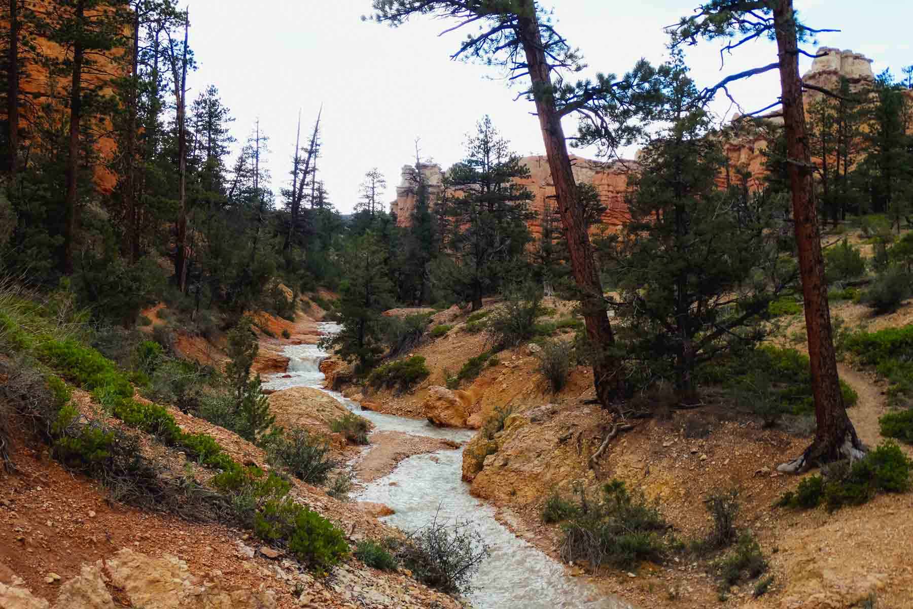 nationaal park amerika