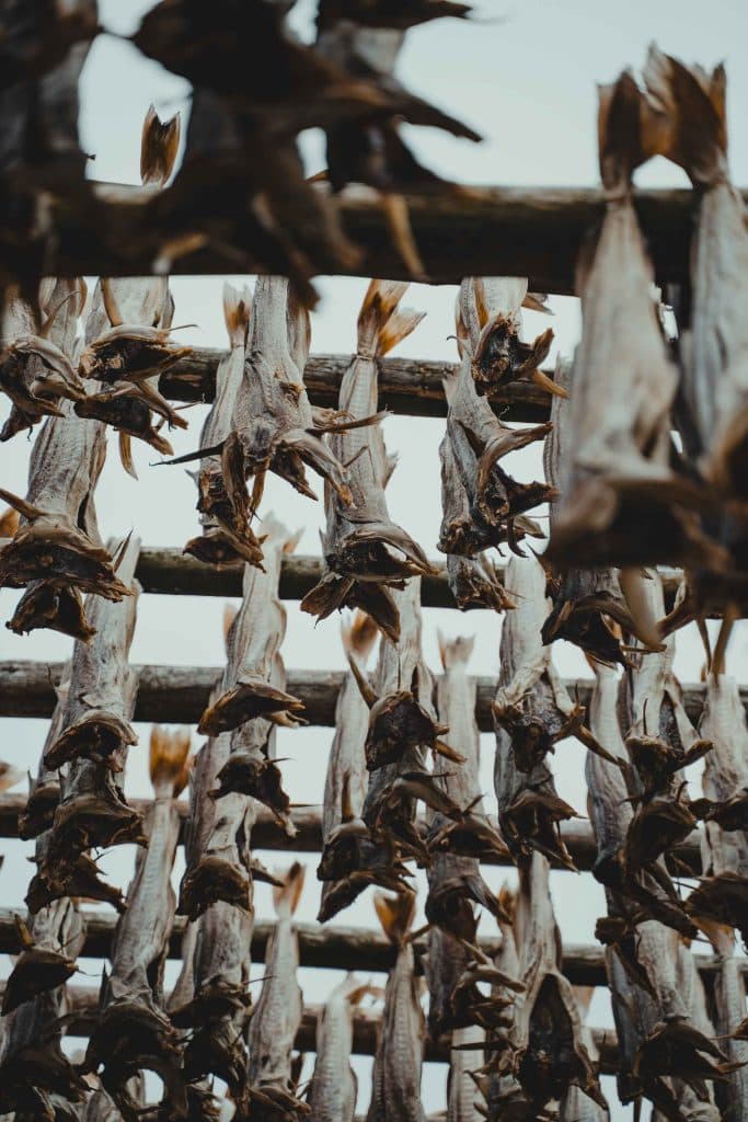 Reizen naar Noorwegen: vakantie in de Lofoten in de winter