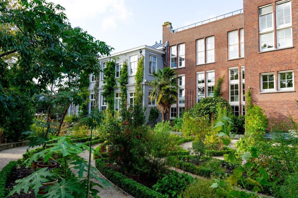 de leukste winkels van Amsterdam