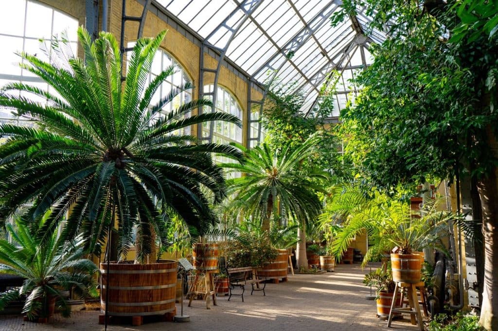 Amsterdam citytrip guide