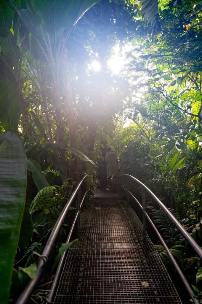 Amsterdam citytrip guide